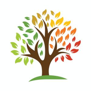 مشتل الهواء الطلق 