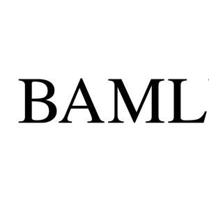 BAMLUGA B.V.